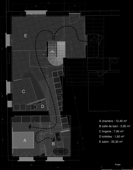 APS MAISON GOUBIER (R+1).dcd