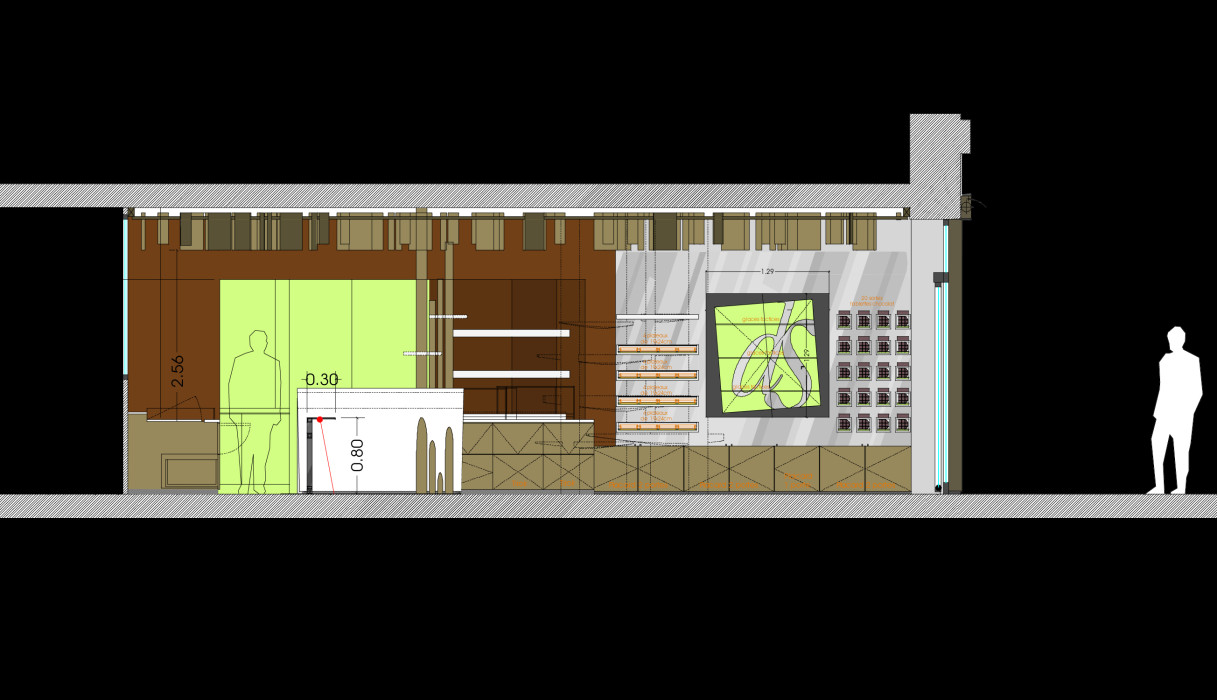 image plan DDS Brotteaux bis(1)